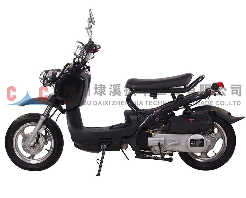 Z Sell Well New Type Fashion Popular Adult  Motorcycle Gasoline 
