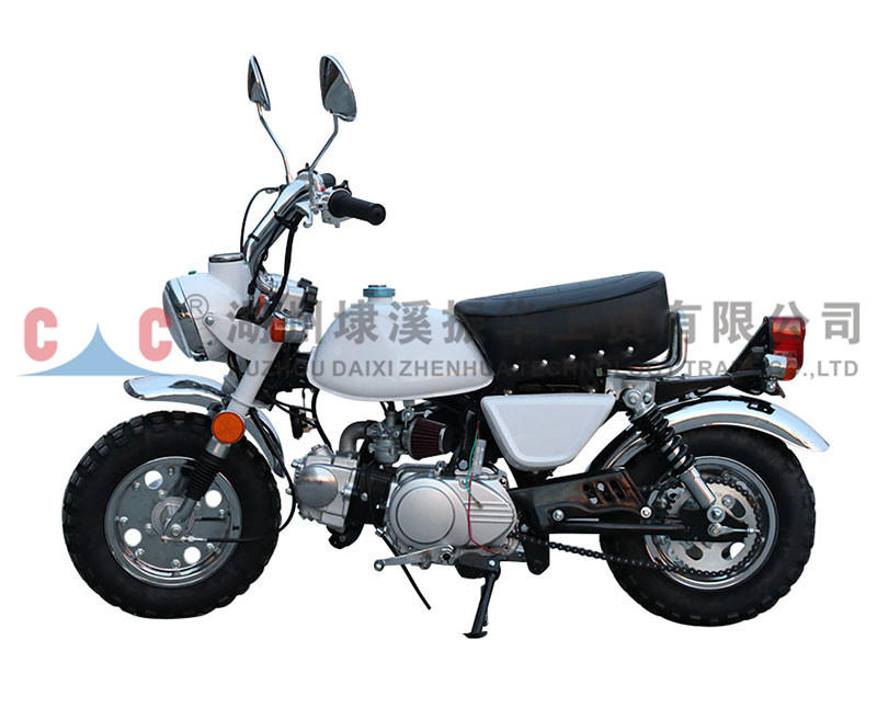 SR4L Factory Sale Various High Speed Gasoline Monkeybike Classic Motorcycles