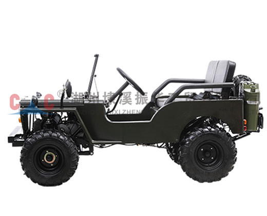 Off-road Buggy-Motorcycle-Off-road Buggy-1