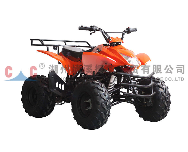 TG Widely Used Four Wheel Drive Vehicl Motorcycle Small Adult All Terrain Vehicle