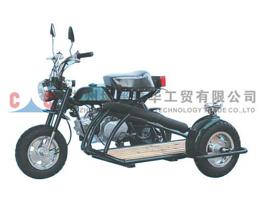 Three Wheels Motorcycle-ZH-A3L