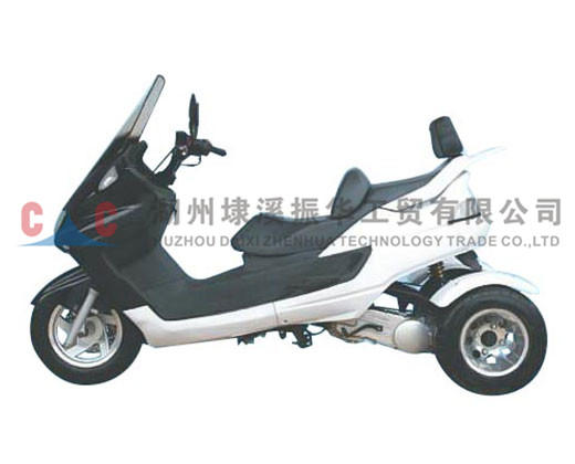 Three Wheels Motorcycle-ZH-D3L Quality Gasoline  Racing 3 Wheels Motorcycle Trike On Sale