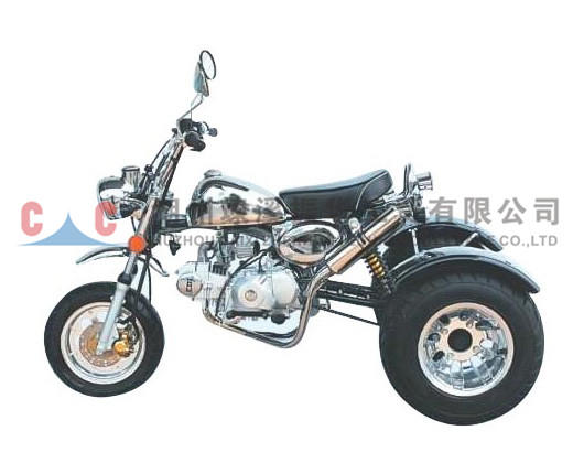 Three Wheels Motorcycle-ZH-SR3L