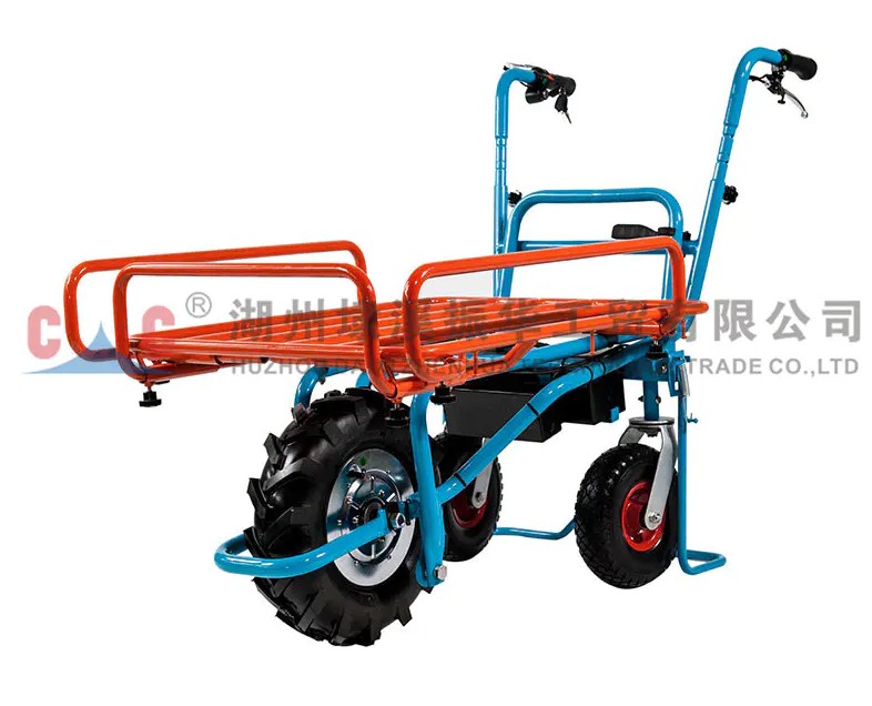 The tricycle: simple and practical, but can its history evolve with the times?