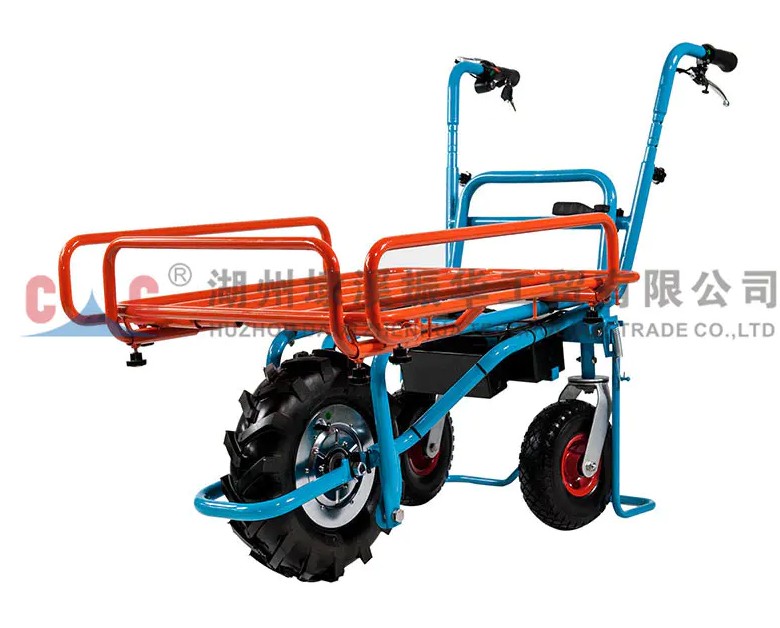 Exploring the Durability and Affordability of the PC010-01 Electric Tricycle: A Question of Value?