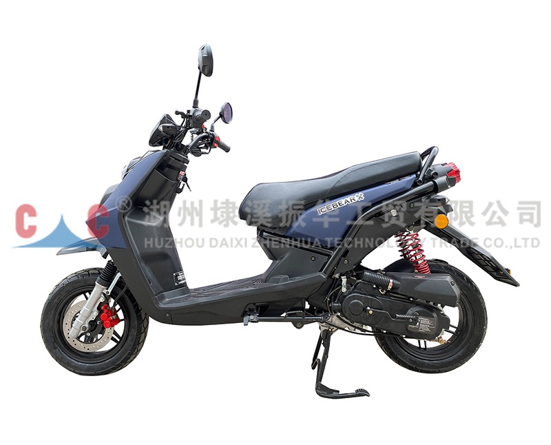 DWSV Motorcycles: The Dual-Start System - The Ultimate Solution for Any Journey, But How Does It Fare?