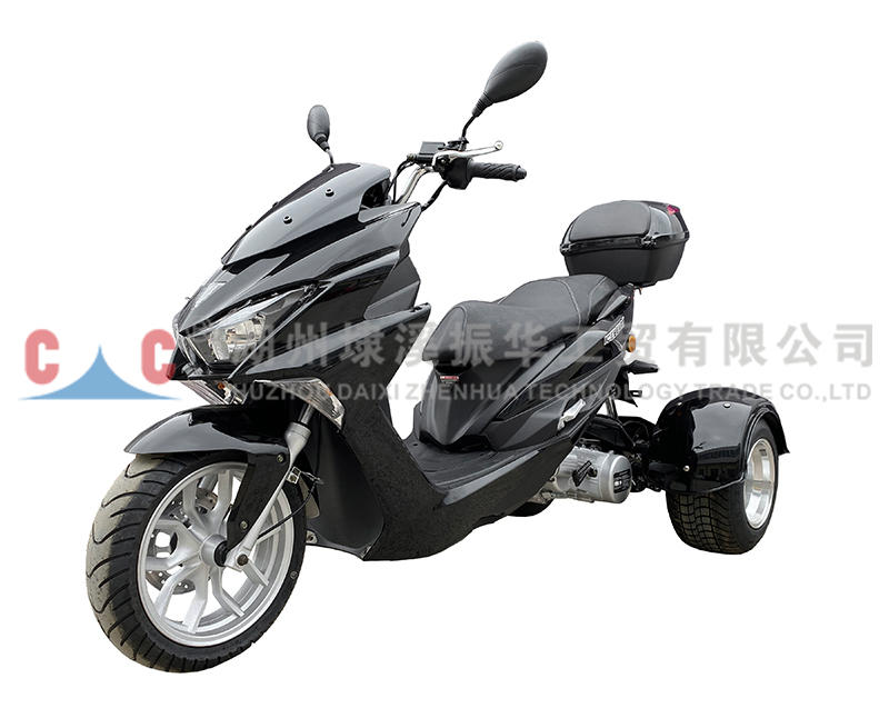 Warrior Professional Manufacture Three Wheel Digital Meter Chinese  Motorcycle Engine